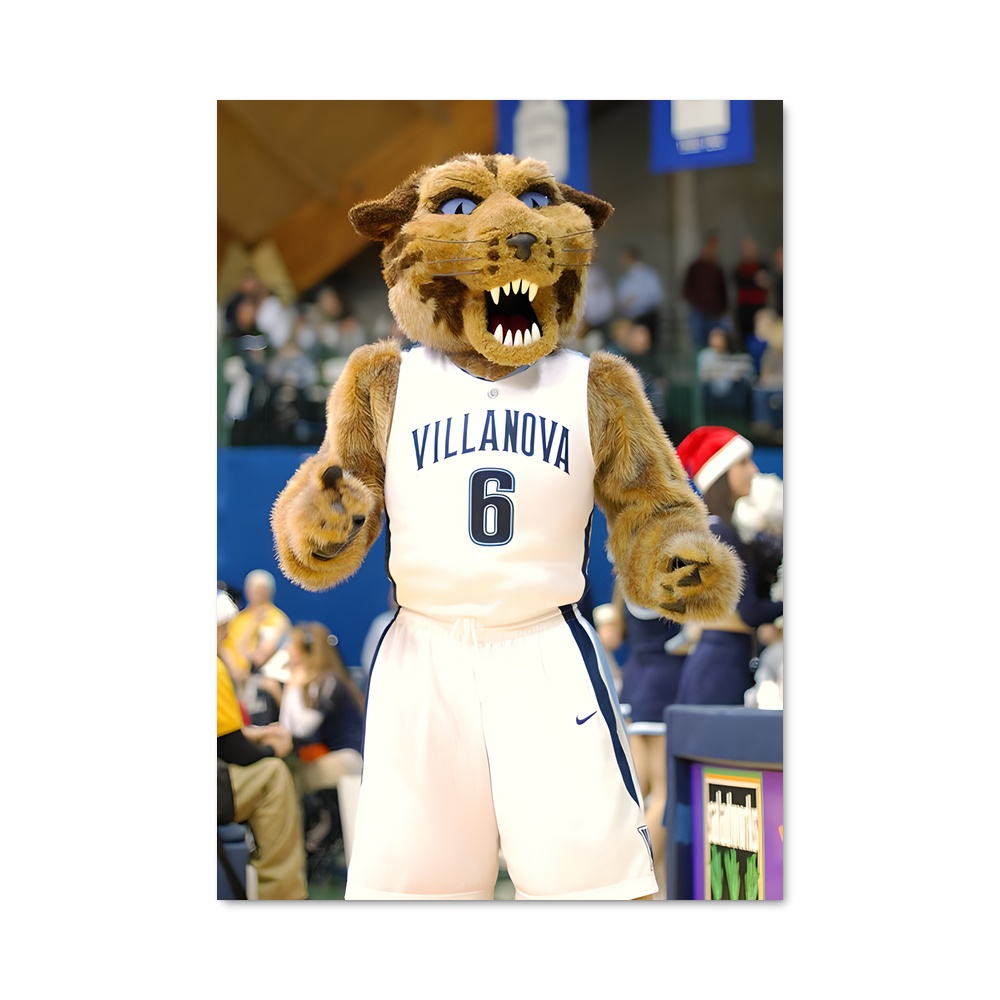 Poster Villanova wildcats – affiche Basketball